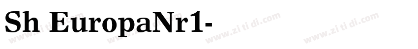 Sh EuropaNr1字体转换